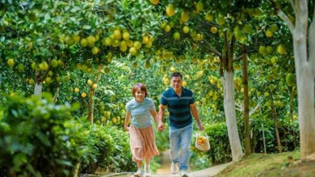 Hành vi tiêu dùng du lịch xanh của du khách tại Việt Nam