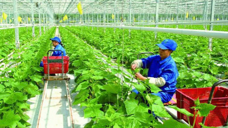 Phát triển hệ sinh thái khởi nghiệp xanh trong bối cảnh chuyển đổi sang kinh tế xanh tại Việt Nam