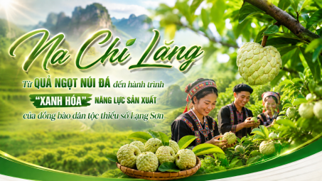 Na Chi Lăng: Từ quả ngọt núi đá đến hành trình "xanh hóa" năng lực sản xuất của đồng bào dân tộc thiểu số Lạng Sơn