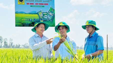 Đất khỏe, cây khỏe, người nông dân thêm niềm tin