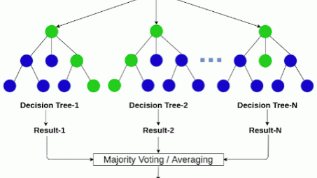 Ứng dụng thuật toán Random Forest để nhận diện gian lận trong báo cáo tài chính – Bằng chứng thực nghiệm ở Việt Nam