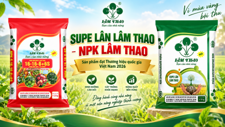Supe Lân Lâm Thao, NPK Lâm Thao được công nhận sản phẩm đạt Thương hiệu quốc gia Việt Nam 2026