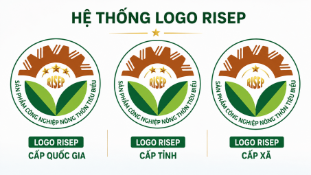 Số hóa bình chọn RISEP: Những bước đi đầu tiên