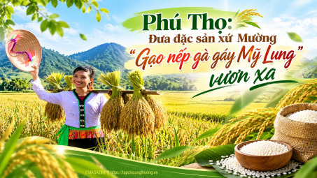 [eMagazine] Phú Thọ: Đưa đặc sản xứ Mường “Gạo nếp gà gáy Mỹ Lung” vươn xa