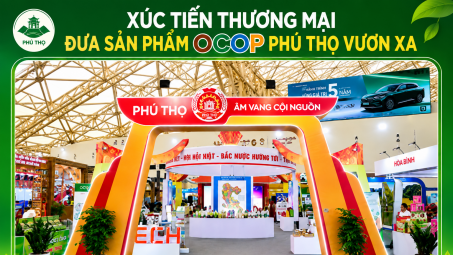 Phú Thọ đẩy mạnh xúc tiến thương mại, mở rộng thị trường, nâng tầm giá trị nông sản