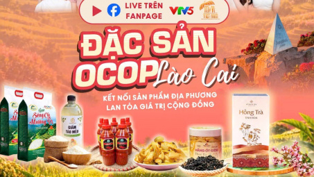 Mega Livestream quảng bá OCOP Lào Cai thu hút hơn 2.000 sản phẩm