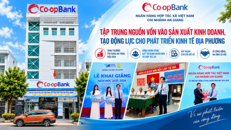 Ngân hàng Hợp tác xã Việt Nam - Chi nhánh An Giang: Tập trung nguồn vốn vào sản xuất kinh doanh, tạo động lực cho phát triển kinh tế địa phương
