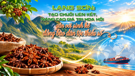 [Emagazine] Lạng Sơn: Tạo chuỗi liên kết, nâng cao giá trị hoa hồi gắn với sinh kế đồng bào dân tộc thiểu số