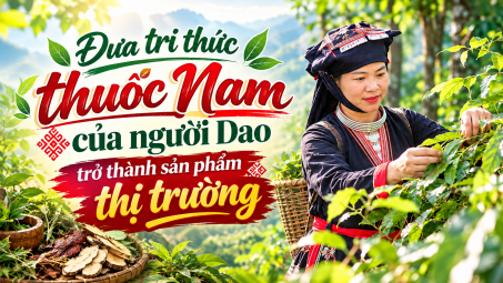 [Emagazine] Đưa tri thức thuốc Nam của người Dao trở thành sản phẩm thị trường