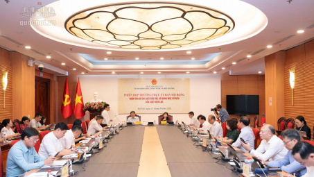 Thẩm tra sơ bộ dự án Luật sửa đổi, bổ sung một số điều của Luật Điện lực