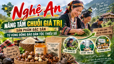 Nghệ An nâng tầm chuỗi giá trị sản phẩm đặc sản từ vùng đồng bào dân tộc thiểu số