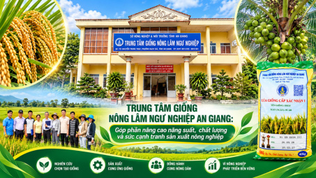 Trung tâm Giống Nông lâm Ngư nghiệp An Giang: Góp phần nâng cao năng suất, chất lượng trong sản xuất nông nghiệp