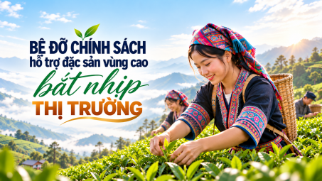 [eMagazine] Bệ đỡ chính sách hỗ trợ đặc sản vùng cao bắt nhịp thị trường