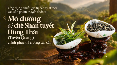 [eMagazine] Mở đường để chè Shan tuyết Hồng Thái (Tuyên Quang) chinh phục thị trường cao cấp: Ứng dụng chuỗi giá trị sản xuất mới vào sản phẩm truyền thống: