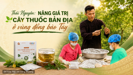 [eMagazine] Thái Nguyên: Nâng giá trị cây thuốc bản địa ở vùng đồng bào Tày