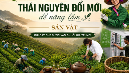 [eMagazine] Thái Nguyên đổi mới để nâng tầm sản vật - Khi cây chè bước vào chuỗi giá trị mới