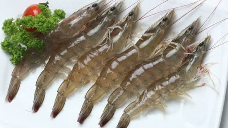 Thực trạng thực Hiện Hợp đồng mua bán tôm thẻ: nhìn từ các công ty cổ phần trên địa bàn tỉnh Khánh Hòa