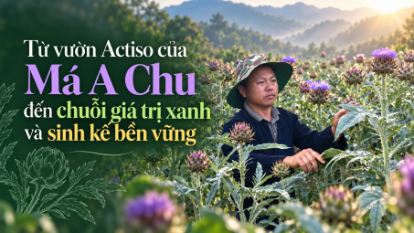 (Emagazine) Từ vườn actiso của Má A Chu đến chuỗi giá trị xanh và sinh kế bền vững