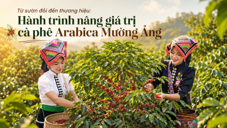[Emagazine] Từ sườn đồi đến thương hiệu: Hành trình nâng giá trị cà phê Arabica Mường Ảng