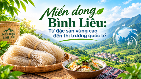 Miến dong Bình Liêu: Từ đặc sản vùng cao đến thị trường quốc tế