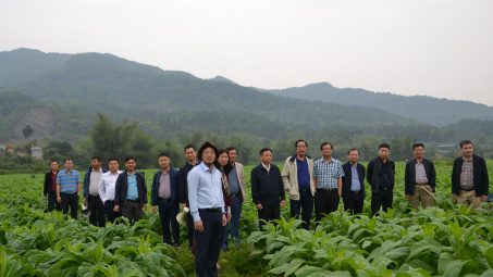 Công ty CP Ngân Sơn: Mô hình đầu tư trực tiếp mang lại hiệu quả cao