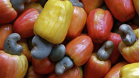 Giá điều thô giảm mạnh