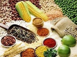 Tình hình sản xuất lương thực và xuất nhập khẩu nông sản Trung Quốc năm 2012