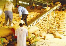 Trung Quốc sẽ giảm nhập khẩu lương thực năm 17% trong năm 2013 do được mùa