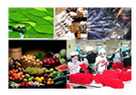 Xuất nhập khẩu hàng hóa 4 tháng đầu năm 2013 tăng 16,5%