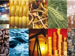 Giá mặt hàng nguyên liệu của Trung Quốc từ 20 – 26/5/2013