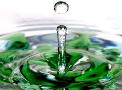Green-Biz 2013: Những giải pháp kinh doanh xanh cho Việt Nam
