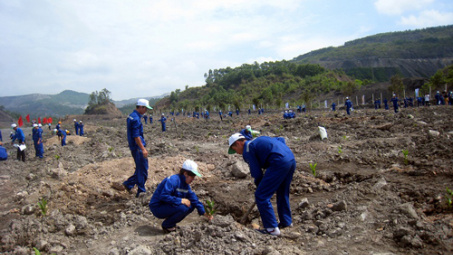 Than Núi Béo hưởng ứng Tuần lễ Quốc gia về nước sạch và ngày môi trường thế giới