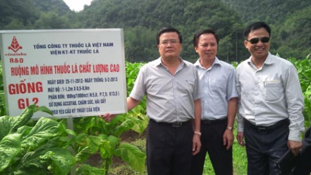 Phát triển vùng nguyên liệu góp phần xây dựng nông thôn mới