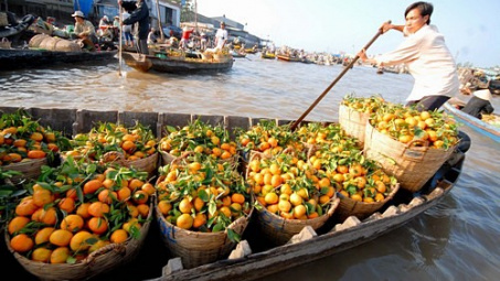 Tiết kiệm điện – Cách làm hiệu quả ở Tiền Giang