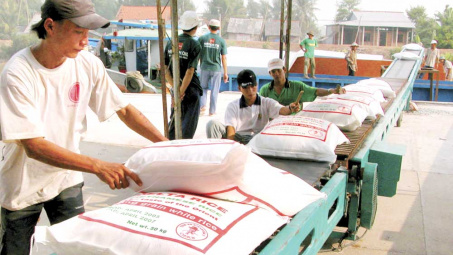Tình hình xuất khẩu gạo của Việt Nam nửa đầu tháng 6/2013