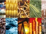 Giá mặt hàng nguyên liệu của Trung Quốc trong tuần từ 24/6 - 30/6/2013