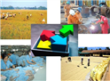 Tập trung phát triển 6 ngành công nghiệp trong hợp tác với Nhật Bản