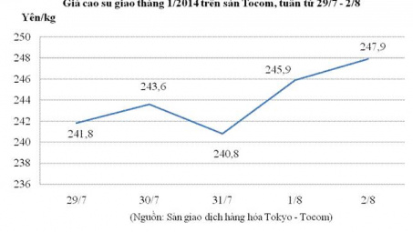 Giá cao su trượt giảm khỏi mốc cao nhất  trong vòng 1 tuần