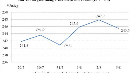 Giá cao su giảm ngày thứ 2 liên tiếp do đồng Yên lên giá