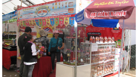Khai mạc Hội chợ Thương mại khu vực miền Trung - Tây Nguyên năm 2013