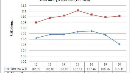 Giá dầu thô WTI biến động sau khi có mức sụt giảm lớn nhất trong 2 tháng