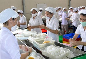 Quảng Trị: Thực hiện Chiến lược sản xuất sạch hơn trong công nghiệp