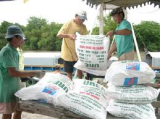 Thị trường phân bón trong nước đến ngày 05/9/2013