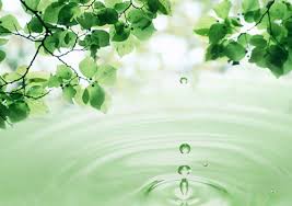 Sửa Luật Bảo vệ môi trường để phát triển bền vững