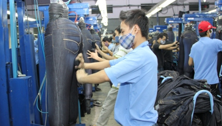 Phong Phú và TPP 