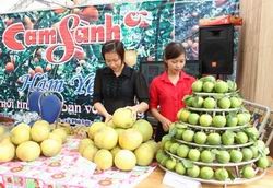 Tuyên Quang tổ chức Hội chợ Công Thương 2013