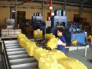Giá cao su xuất khẩu sụt giảm