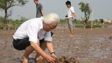 Nam Định đầu tư hơn 764 tỷ đồng ứng phó biến đổi khí hậu