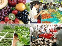 Phú Yên tăng cường kiểm tra, đảm bảo ATTP cuối năm
