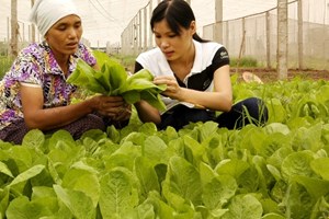 Canada đầu tư hơn 7,6 triệu USD cho nông nghiệp VN